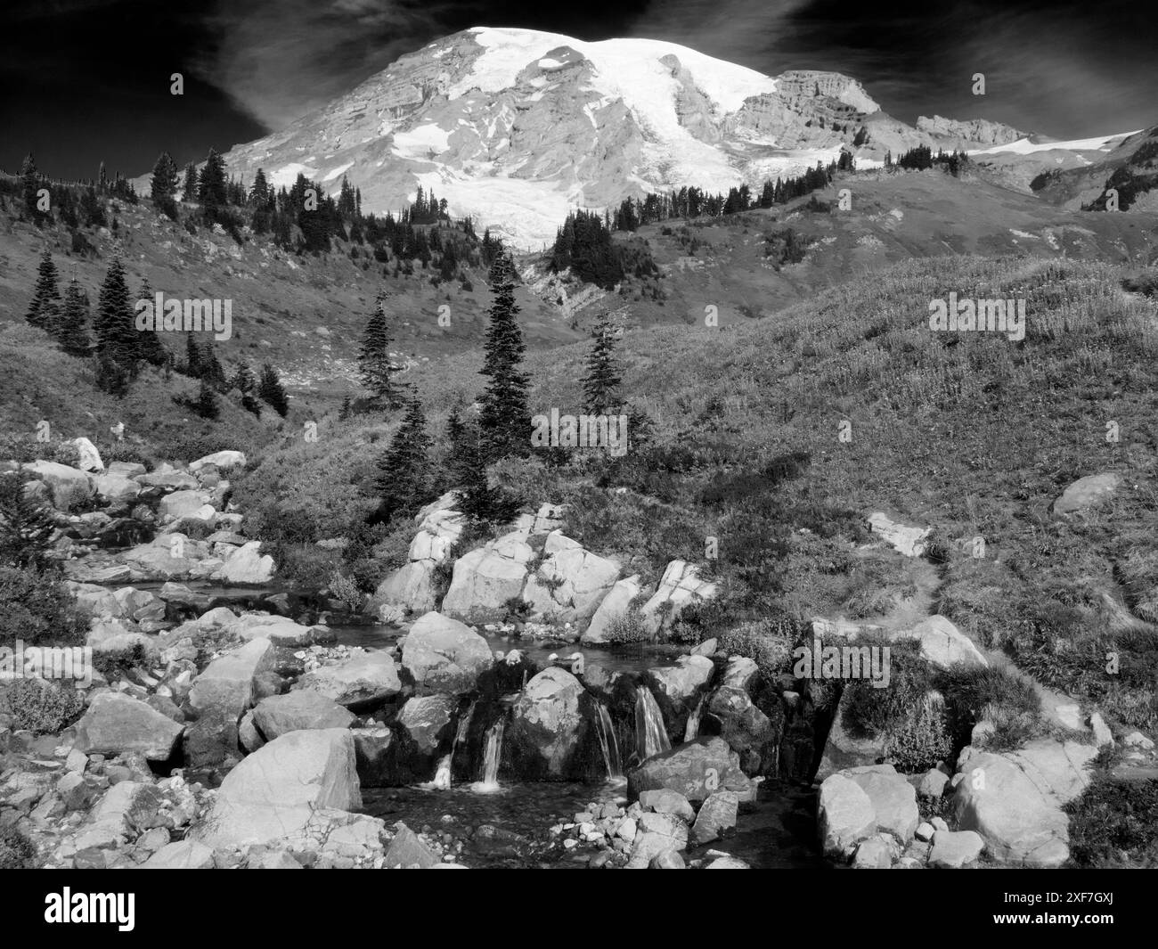 Etat de Washington, parc national de Mount Rainier. Mont Rainier et couleur d'automne avec Edith Creek Banque D'Images