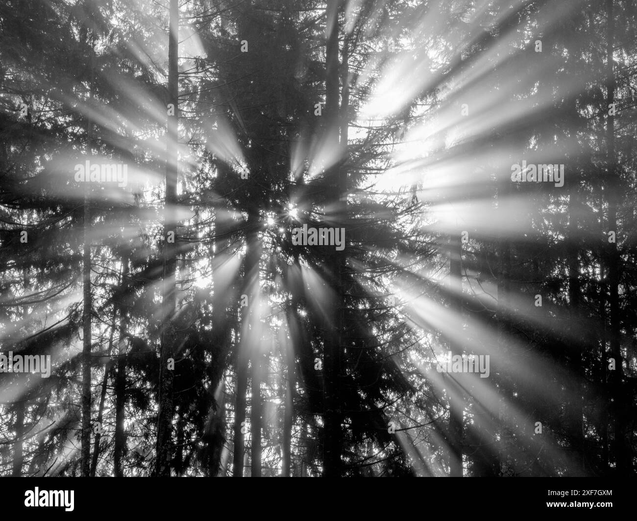 Washington State, Central Cascades. South Bessemer Mountain, rayons de soleil le matin Banque D'Images