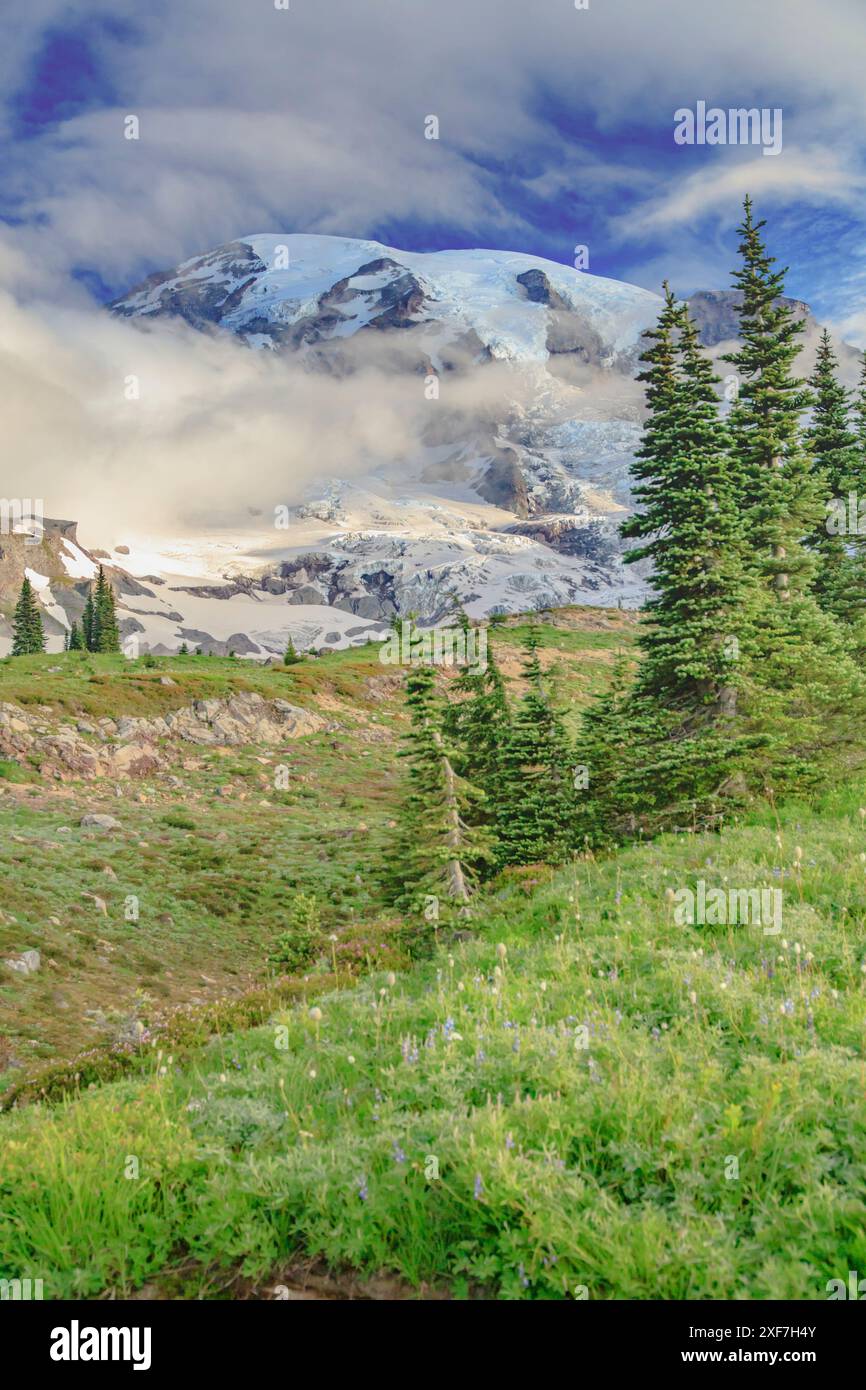 MT. Rainier dans le parc national Banque D'Images