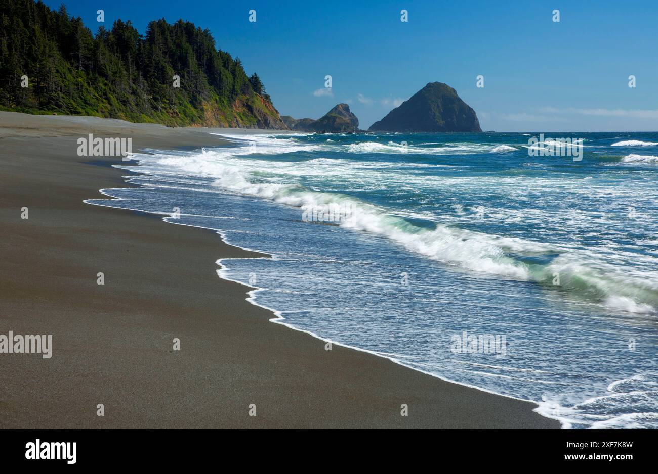 Arizona Beach, Arizona Beach State Park, Oregon Banque D'Images