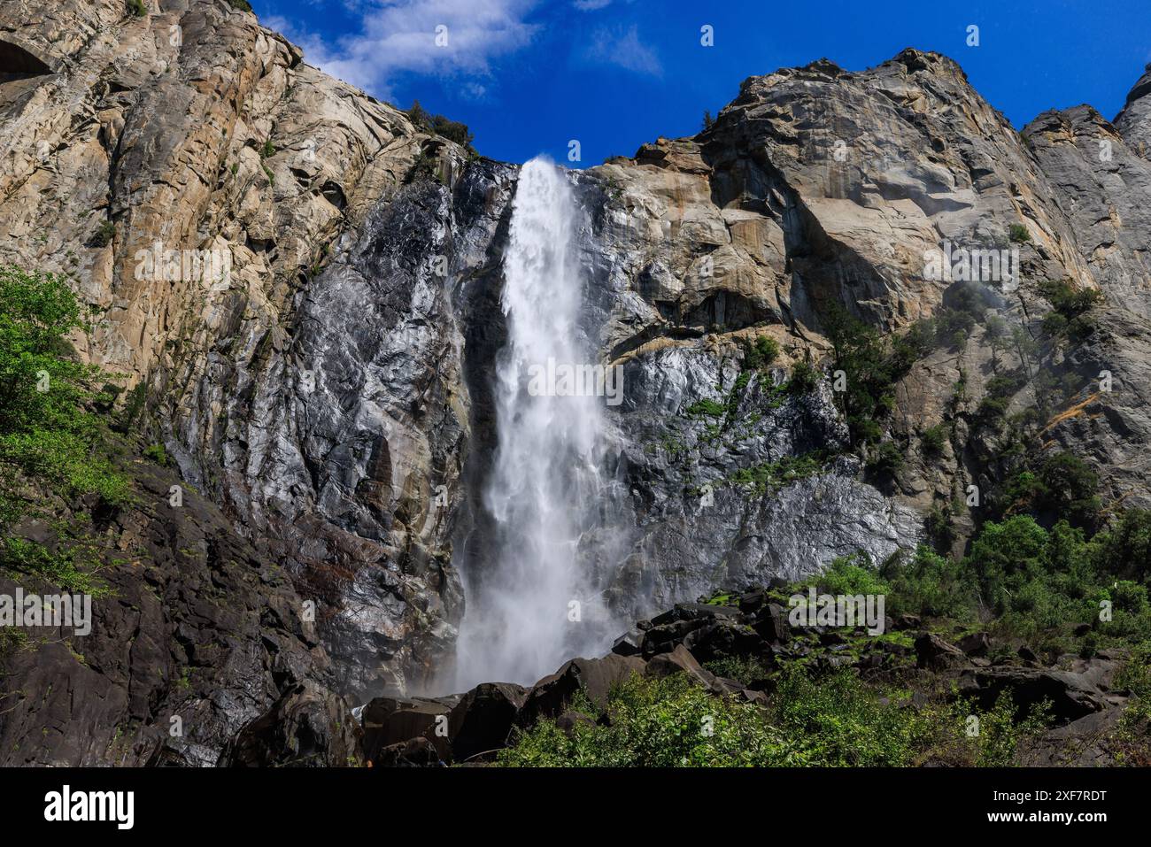 Bridalveil Fall tombe à 620 mètres de la zone Cathedral Rocks au sol de Yosemite Valley, parc national de Yosemite, comté de Mariposa, Californie, États-Unis. Banque D'Images