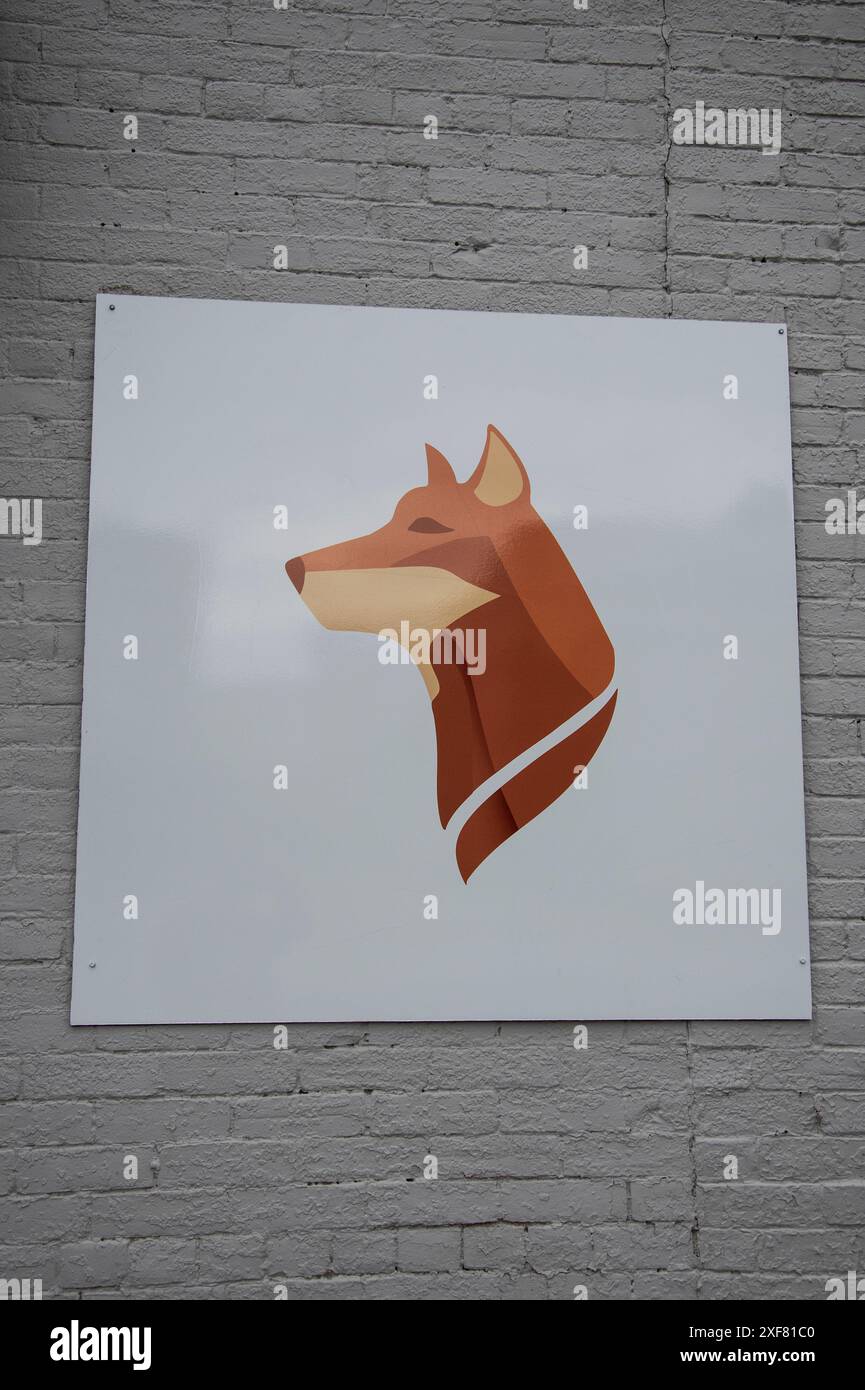 Peinture murale d'un renard roux au centre-ville de Fredericton, Nouveau-Brunswick, Canada Banque D'Images