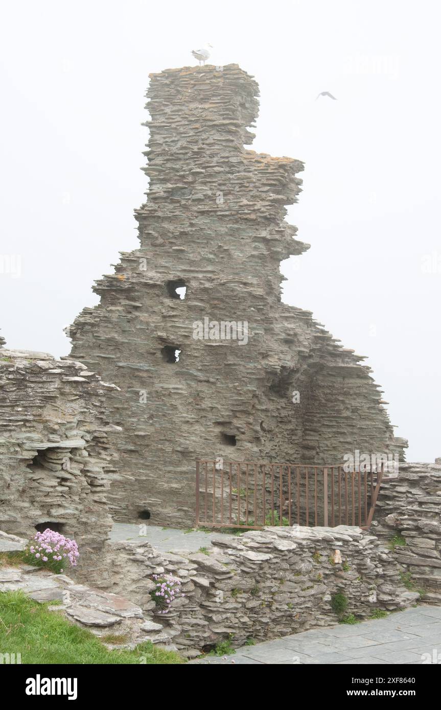 Vestiges de l'ancien palais (château de Tintagel), Tintagel, Cornouailles, Royaume-Uni - fret maritime ajoute mystère au site supposé du château du roi Arthur et de la ronde Banque D'Images