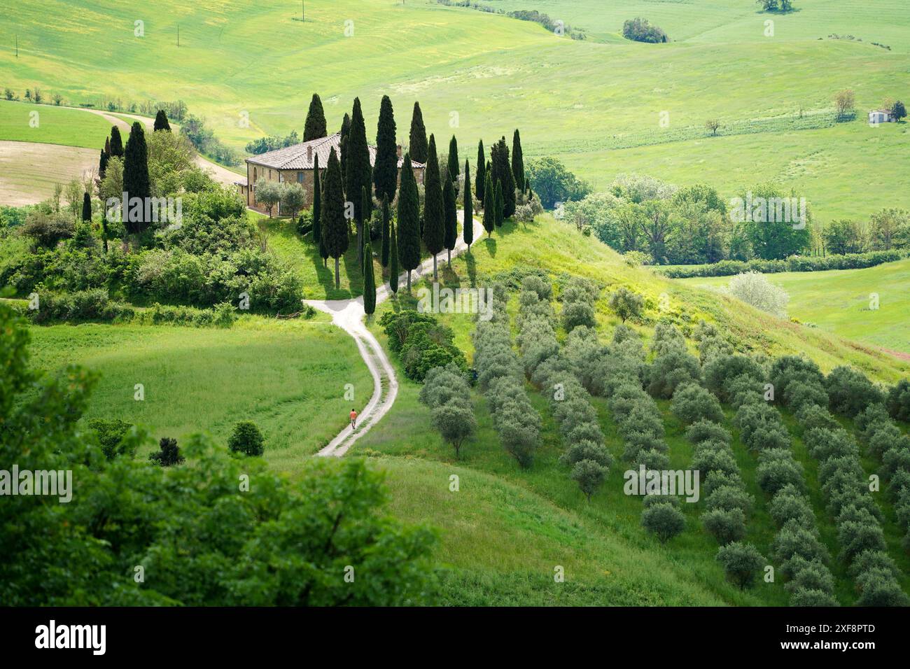 Podere Belvedere, San Quirico d'Orcia, Val d'Orcia, Toscane, Italie 11.05.2023 Banque D'Images