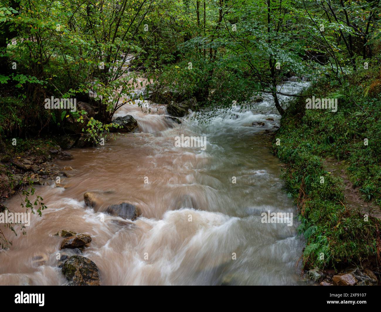 Rivière Bayones, parc naturel de Saja-Besaya, Cantabrie, Espagne Banque D'Images