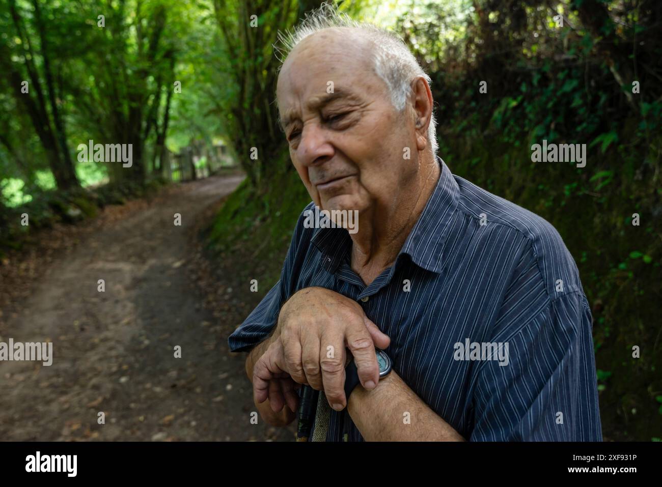 Vieil homme profitant de la promenade dans la forêt, Parc paléolithique de la Cueva del Valle, Rasines, Cantabrie, Espagne Banque D'Images