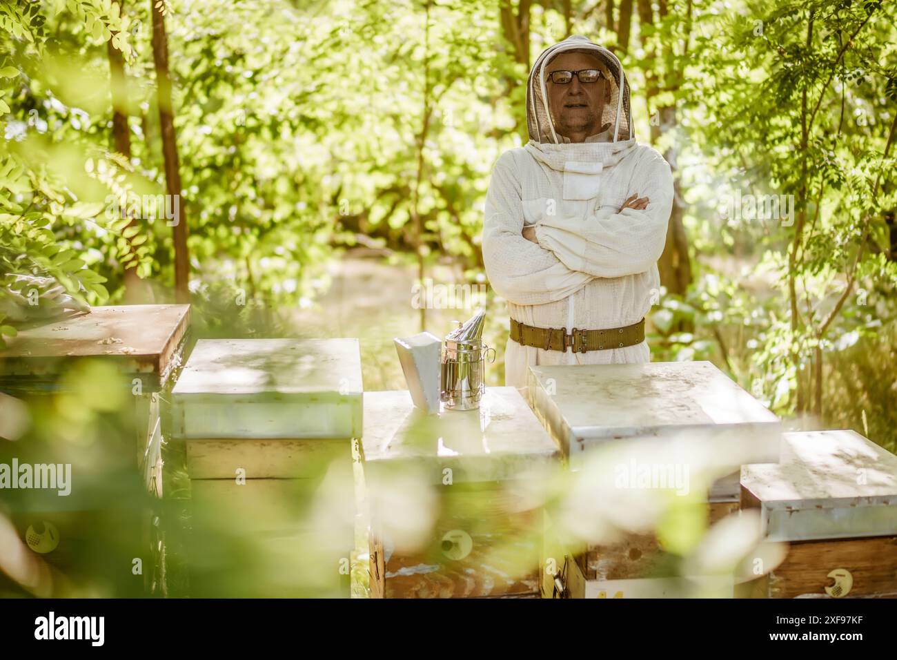 Le apiculteur examine ses ruches en forêt. Apiculture professionnelle. Banque D'Images