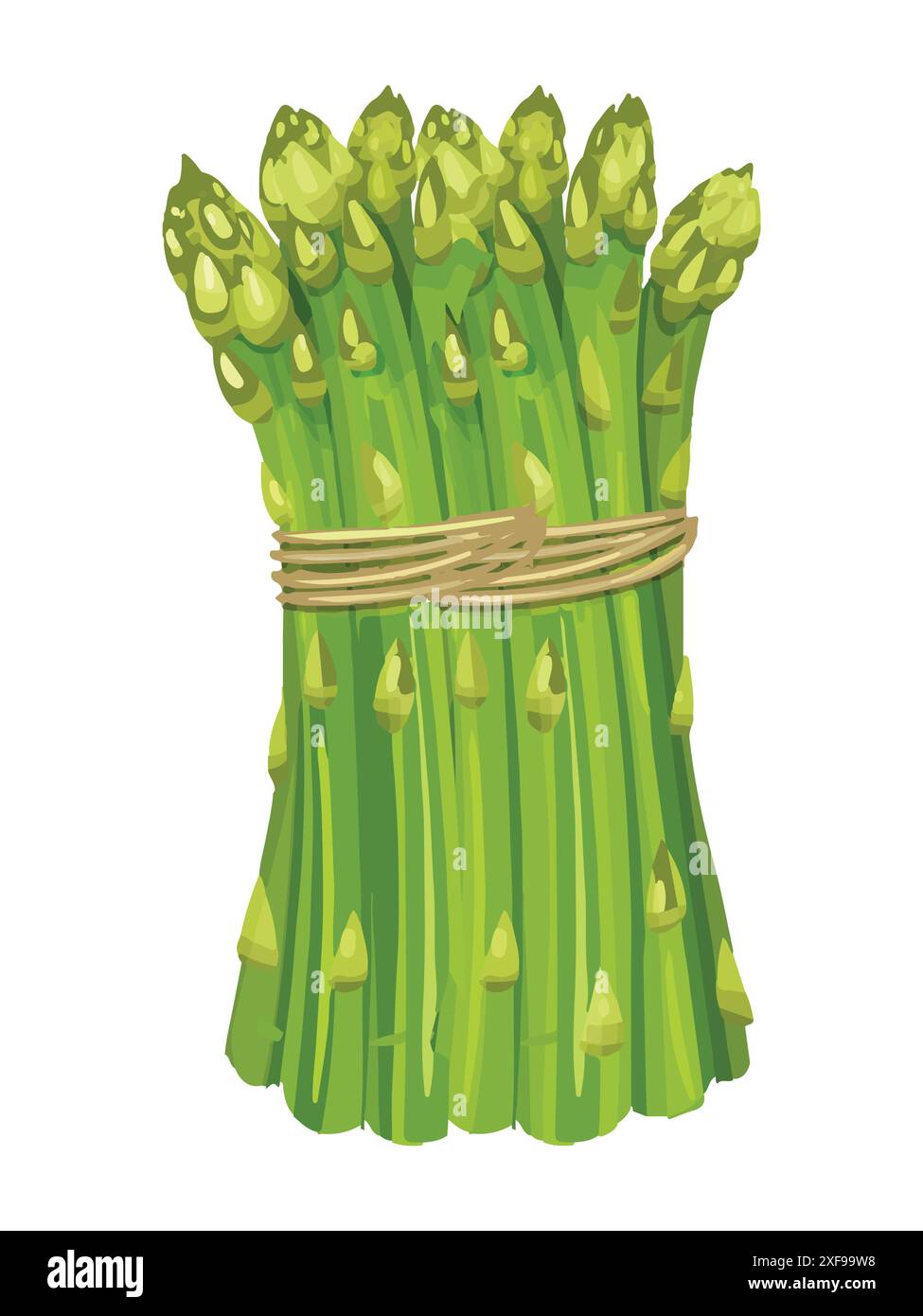 Illustration verte asperge sur fond blanc. Bouquet d'asperges fraîches. Illustration de Vecteur