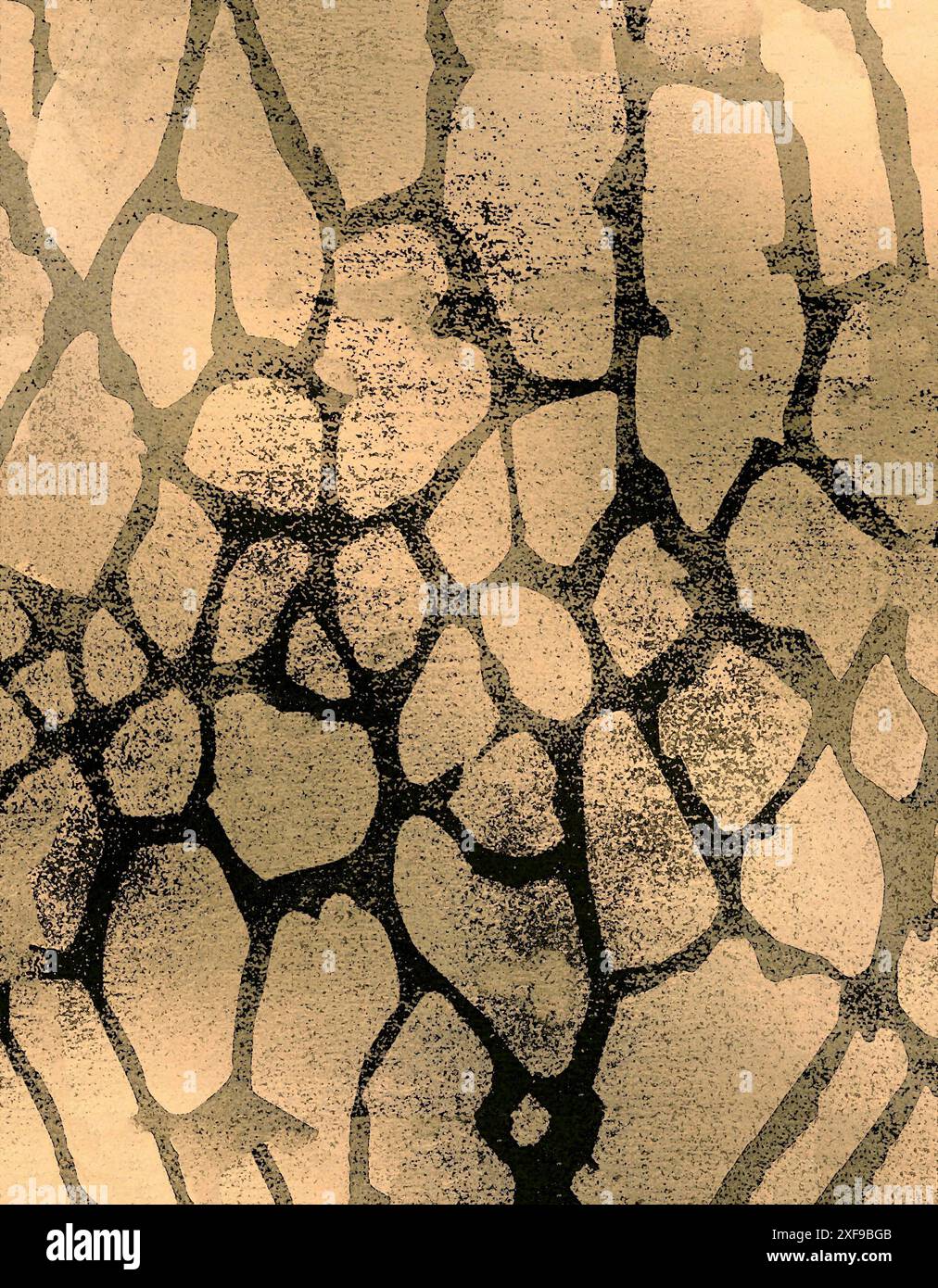 Motif abstrait avec des formes organiques fissurées en brun et noir, créant un visuel texturé et terreux Banque D'Images