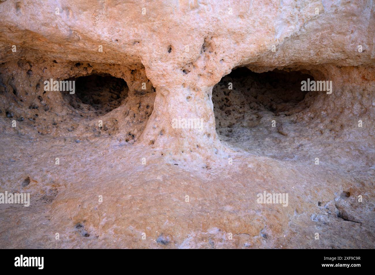 Yeux, visage, formation rocheuse Algar Seco, roches colorées et grottes souterraines, grottes, calcaire coquillages, Carvoeiro, Algarve, Portugal Banque D'Images