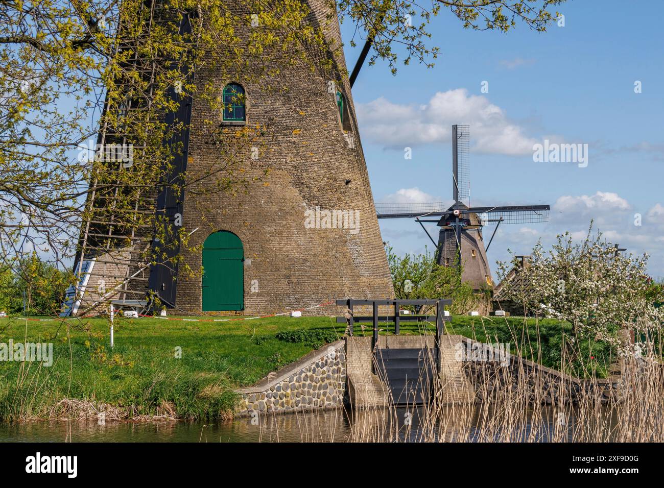 Vue rapprochée d'un moulin à vent avec une porte verte et des arbres en arrière-plan sous un ciel nuageux, kinderdijk, pays-bas Banque D'Images