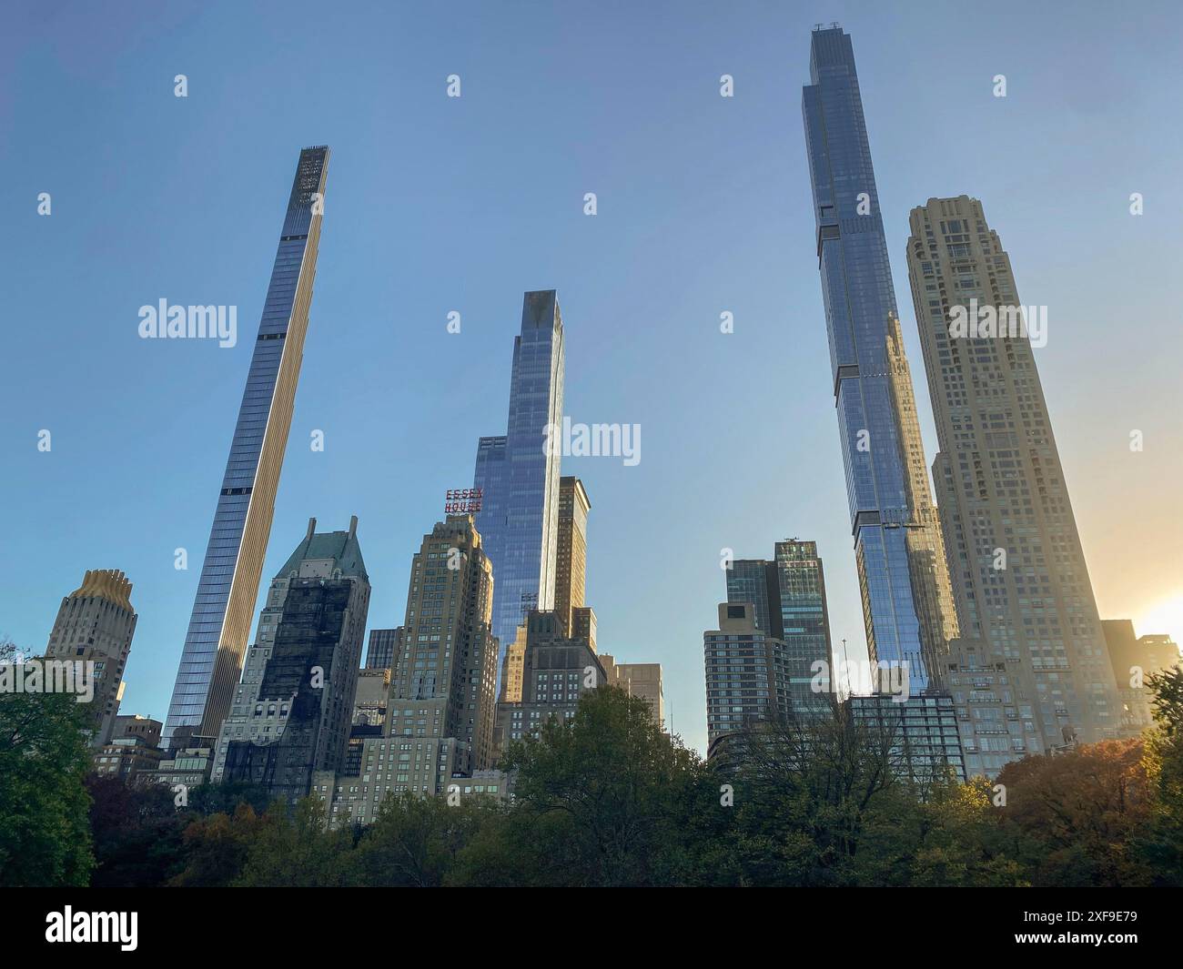 Plusieurs gratte-ciels hauts s'élèvent dans le ciel bleu, entourés d'arbres dans la ville, New York, États-Unis Banque D'Images