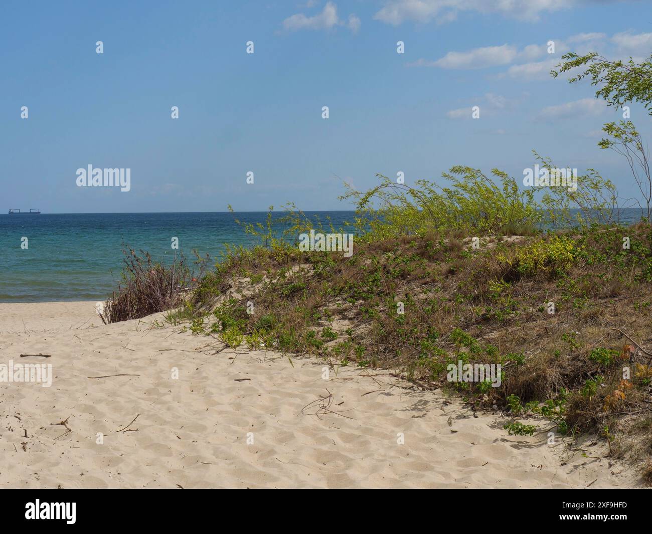 Plage de sable avec quelques plantes, derrière elle la mer calme et le ciel bleu avec peu de nuages, sopot, mer baltique, pologne Banque D'Images