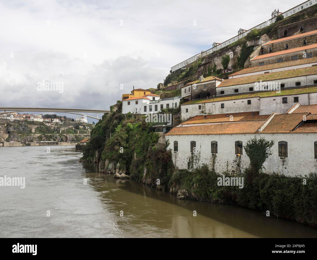 Bâtiment riverain sur une colline avec une végétation luxuriante et une architecture historique, porto, portugal Banque D'Images