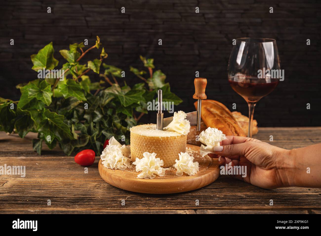 Femme tranchant le délicieux fromage tete de moine d'une girolle traditionnelle sur une table en bois rustique Banque D'Images