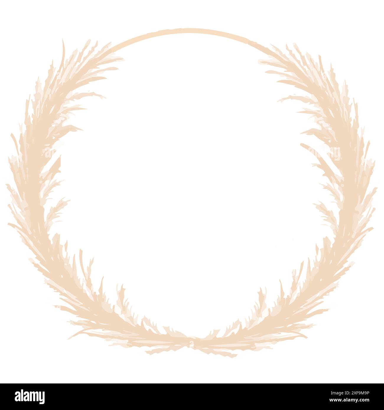 Illustration vectorielle de mariage de cercle d'herbe de Pampas. Illustration de Vecteur