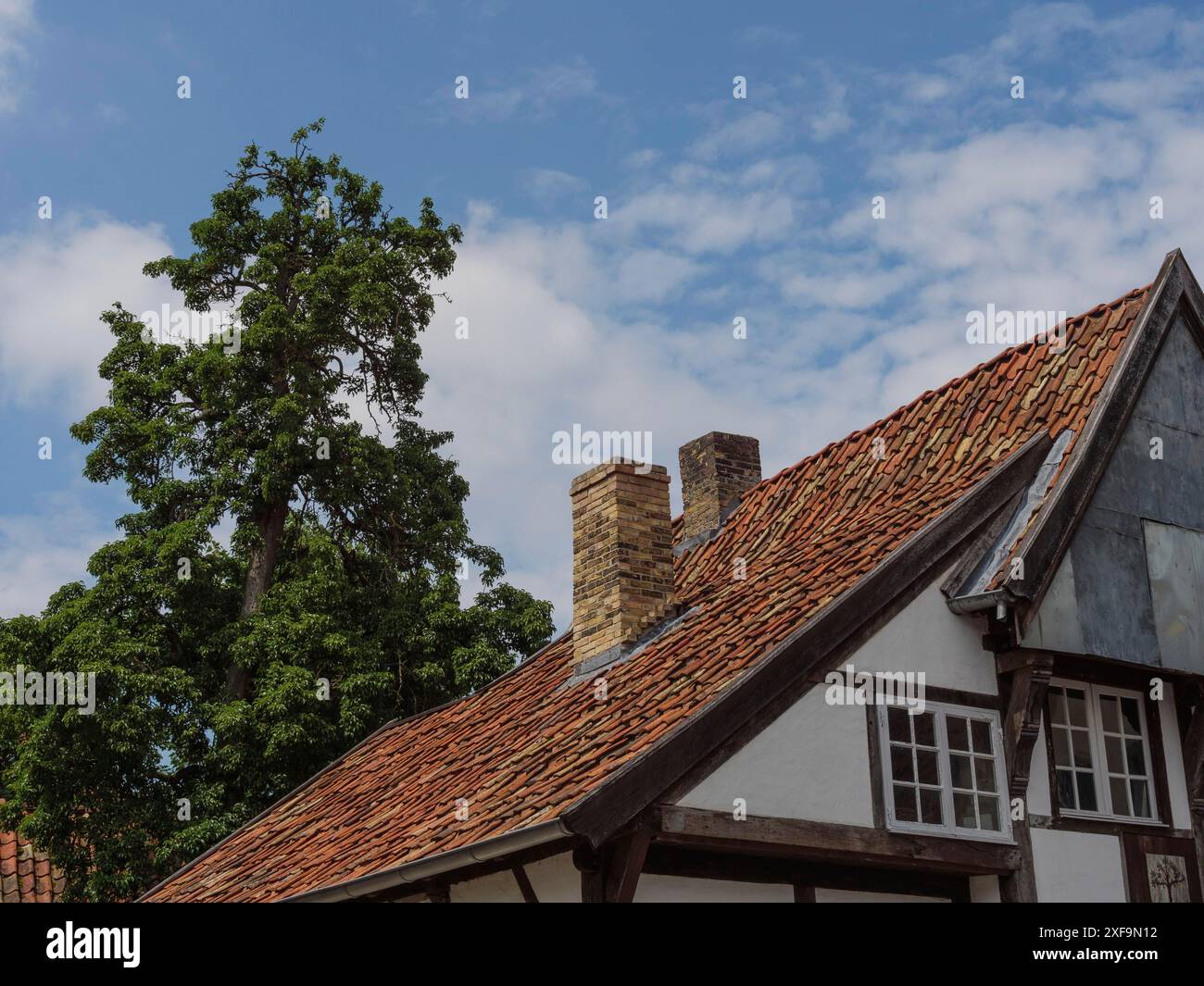 Partie d'une vieille maison avec un toit en briques à côté d'un grand arbre vert, Steinfurt, Rhénanie du Nord-Westphalie, Allemagne Banque D'Images