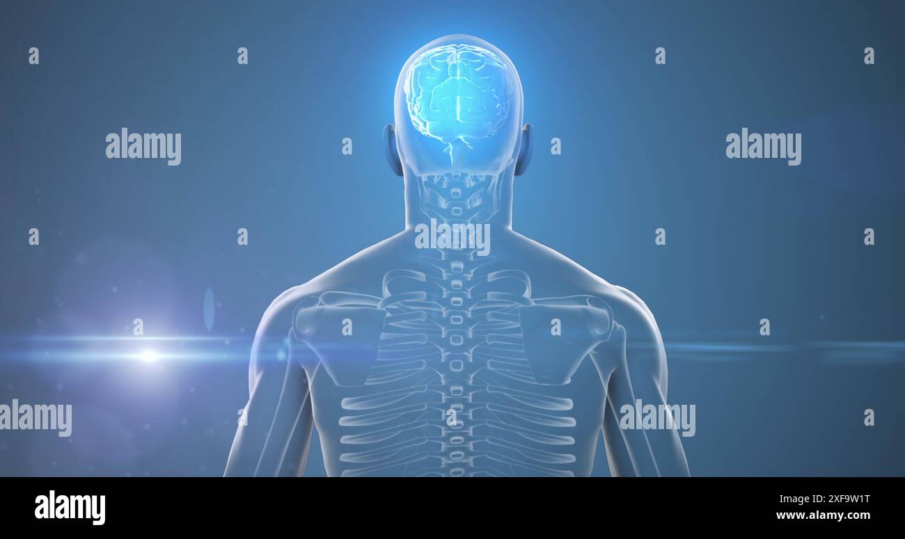 Image de lumière brillante sur le corps humain avec le cerveau Banque D'Images