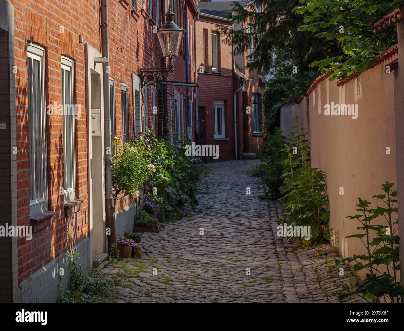 Ruelle pavée idyllique avec des bâtiments historiques en briques et des plantes, luebeck, mer Baltique, Allemagne Banque D'Images