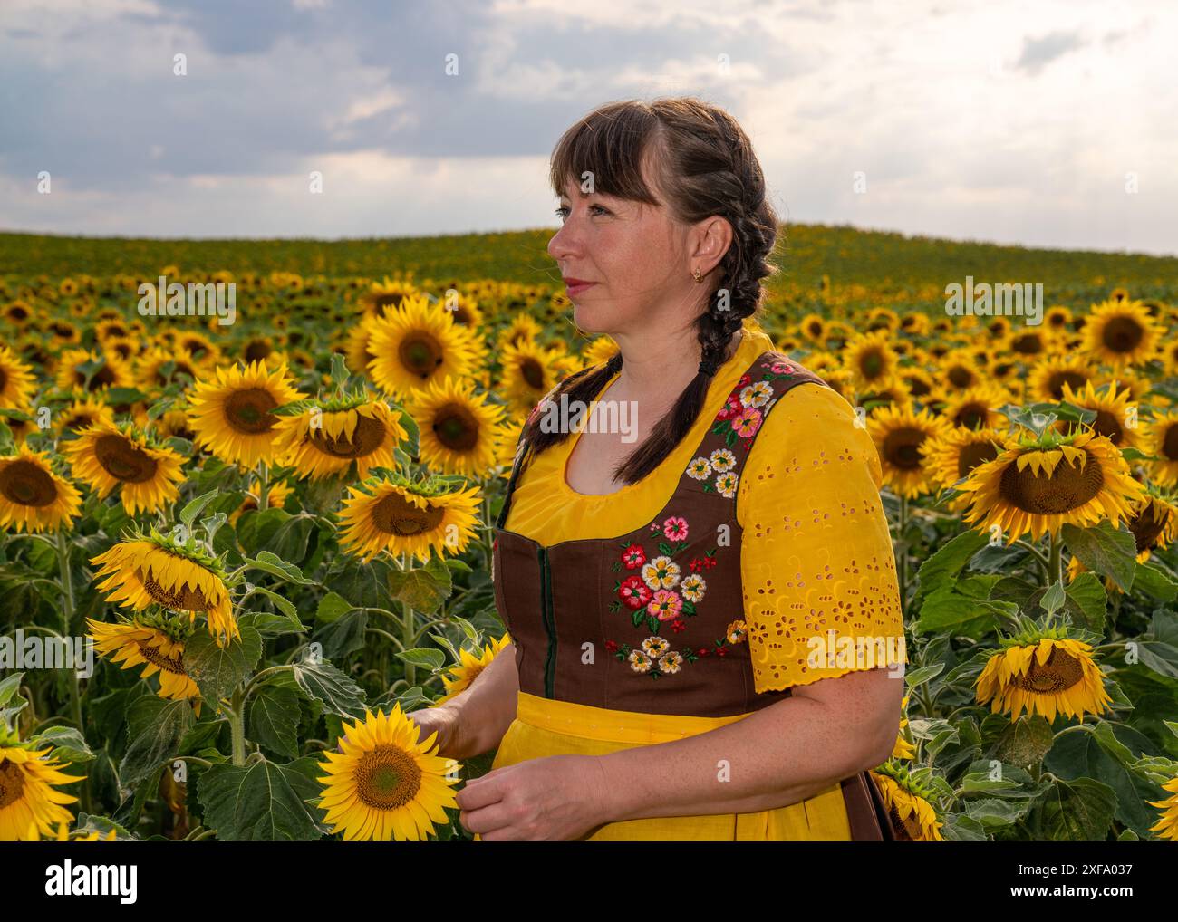 Une femme se tient debout au milieu d'un champ avec beaucoup de tournesols jaunes. Cheveux tressés, portant une blouse jaune, une robe de soleil brune et un tablier jaune chez su Banque D'Images