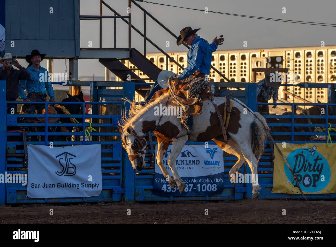 Cow-boy de rodéo professionnel Josh Davison dans la selle bronc événement dans un rodéo dans l'Utah. Banque D'Images