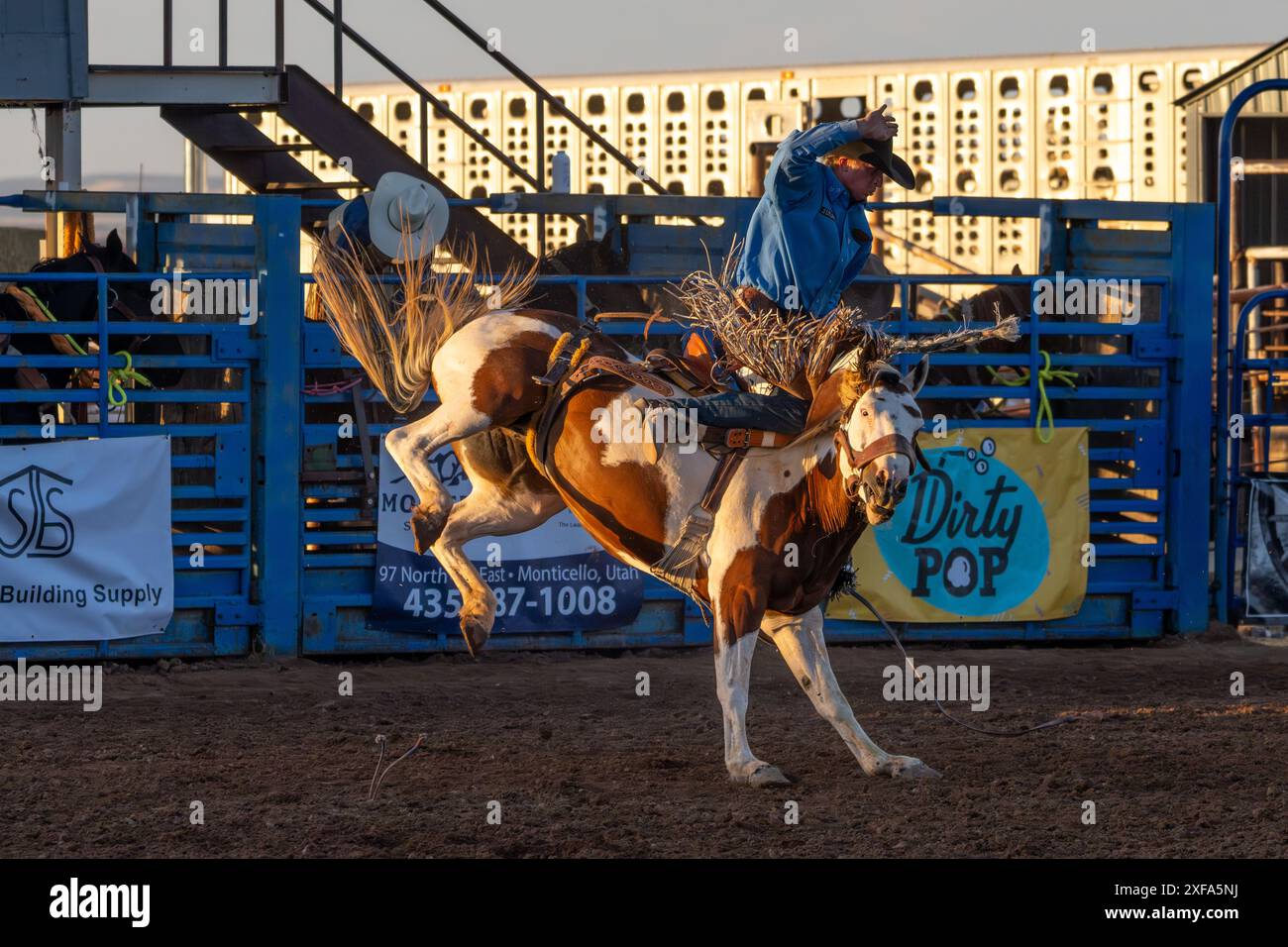 Cow-boy de rodéo professionnel Josh Davison dans la selle bronc événement dans un rodéo dans l'Utah. Banque D'Images