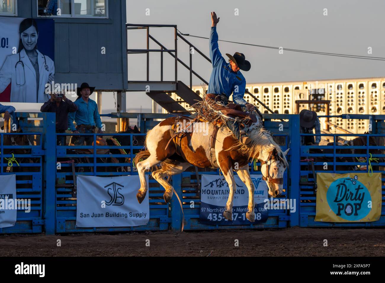Cow-boy de rodéo professionnel Josh Davison dans la selle bronc événement dans un rodéo dans l'Utah. Banque D'Images