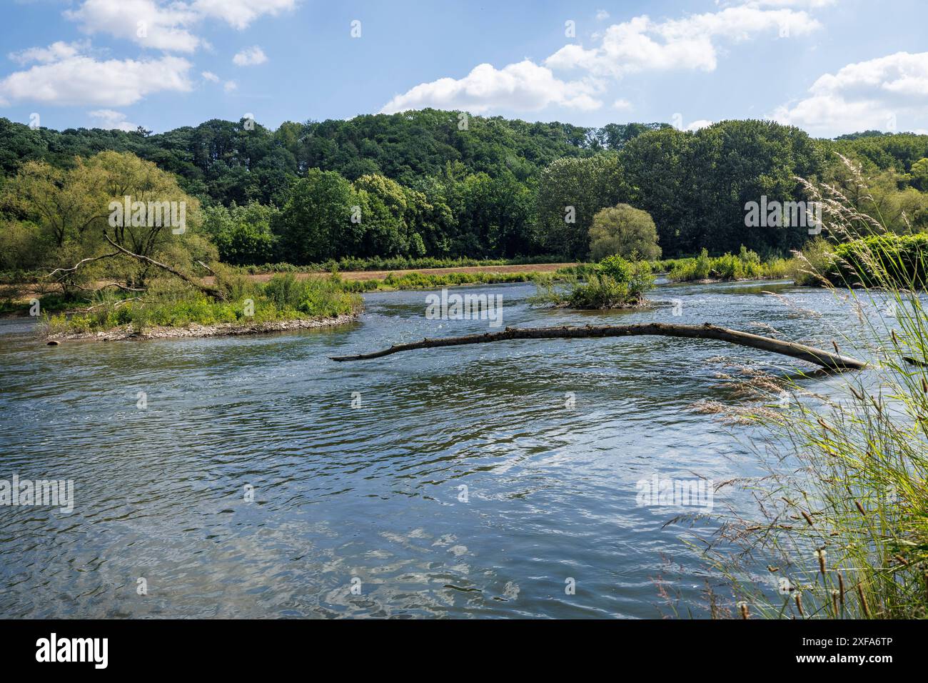 Le fleuve Lenne renaturalisé et redessiné à Hagen, région de la Ruhr, Rhénanie-du-Nord-Westphalie, Allemagne. Die renaturierte und umgestaltete Lenne à Hagen, R Banque D'Images