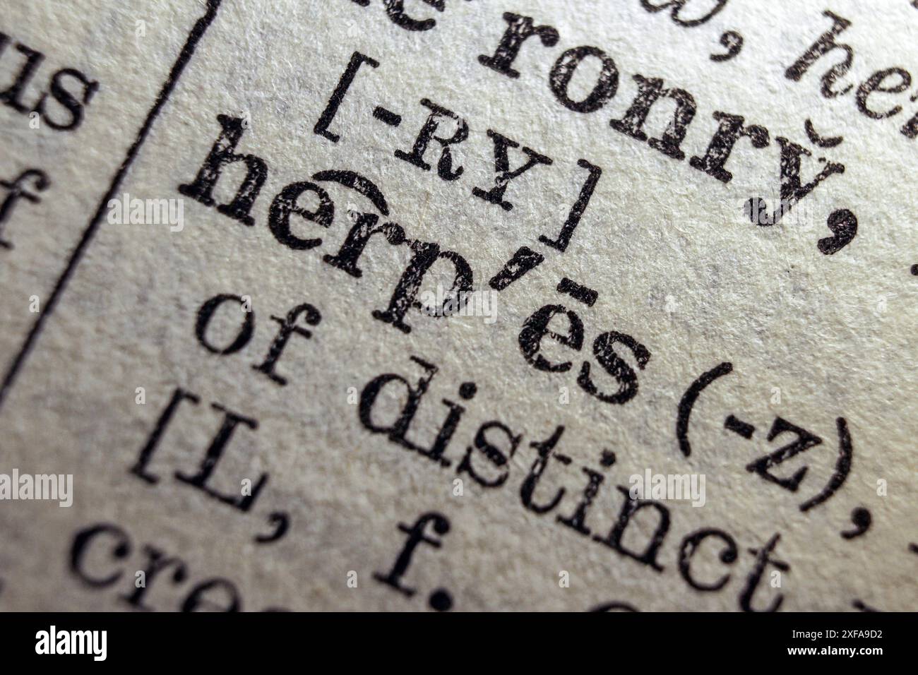 Herpès mot sur la page du dictionnaire, macro gros plan Banque D'Images Herpès mot sur la page du dictionnaire, macro gros plan Banque D'Images