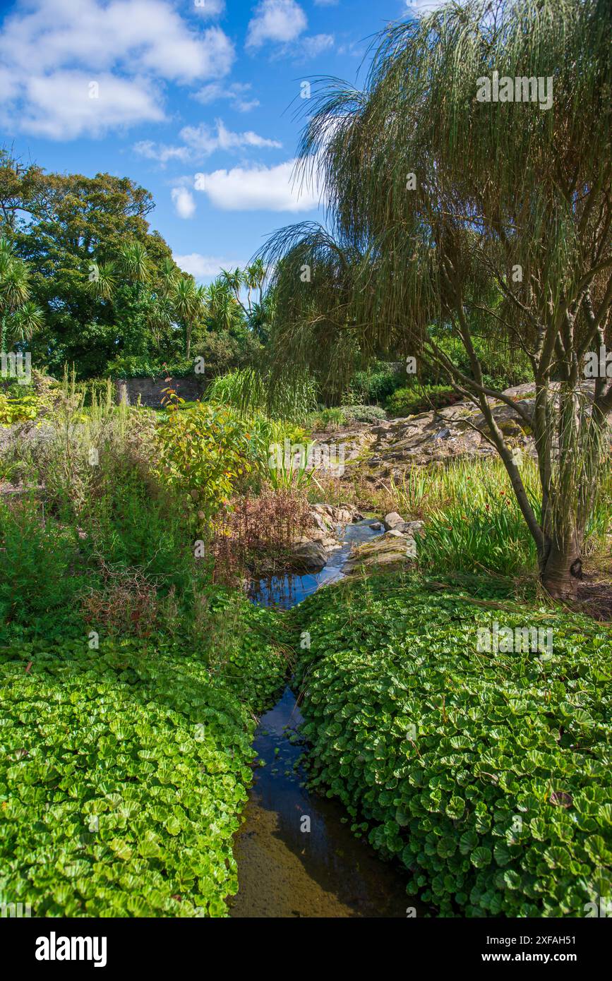 Petit ruisseau traversant les jardins botaniques Logan Banque D'Images