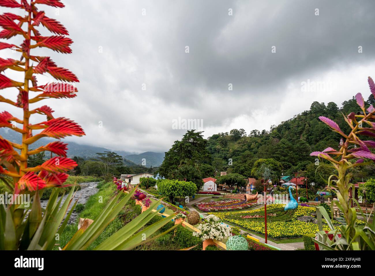 Plante Tillandsia et jardin coloré et pépinière le long de la rivière à Boquete, une petite ville de montagne dans la province de Chiriquí, Panama Banque D'Images