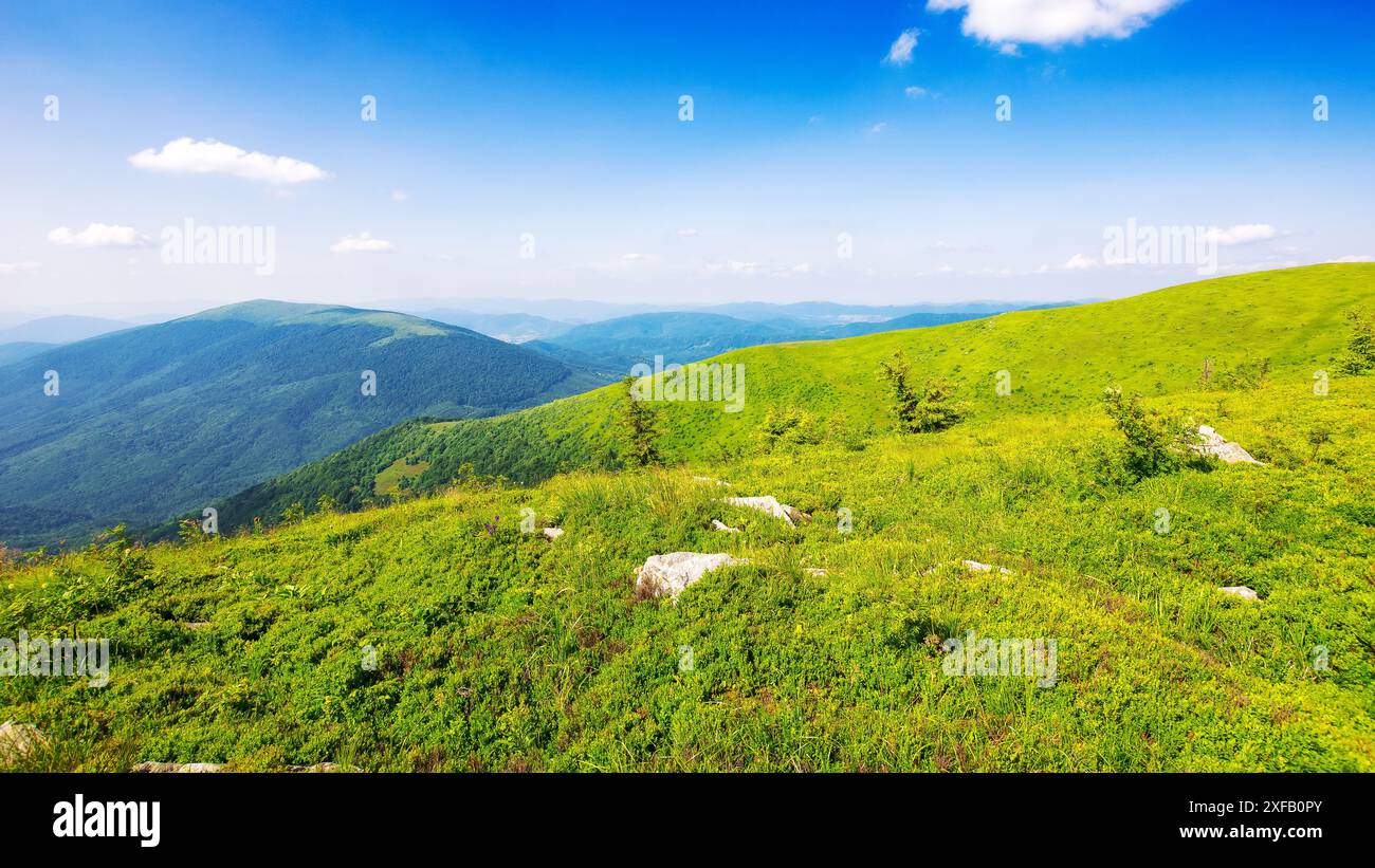 paysage alpin de polonyna lisse. paysage montagneux de transcarpathie, ukraine en été. pierres sur les collines herbeuses par un après-midi ensoleillé Banque D'Images