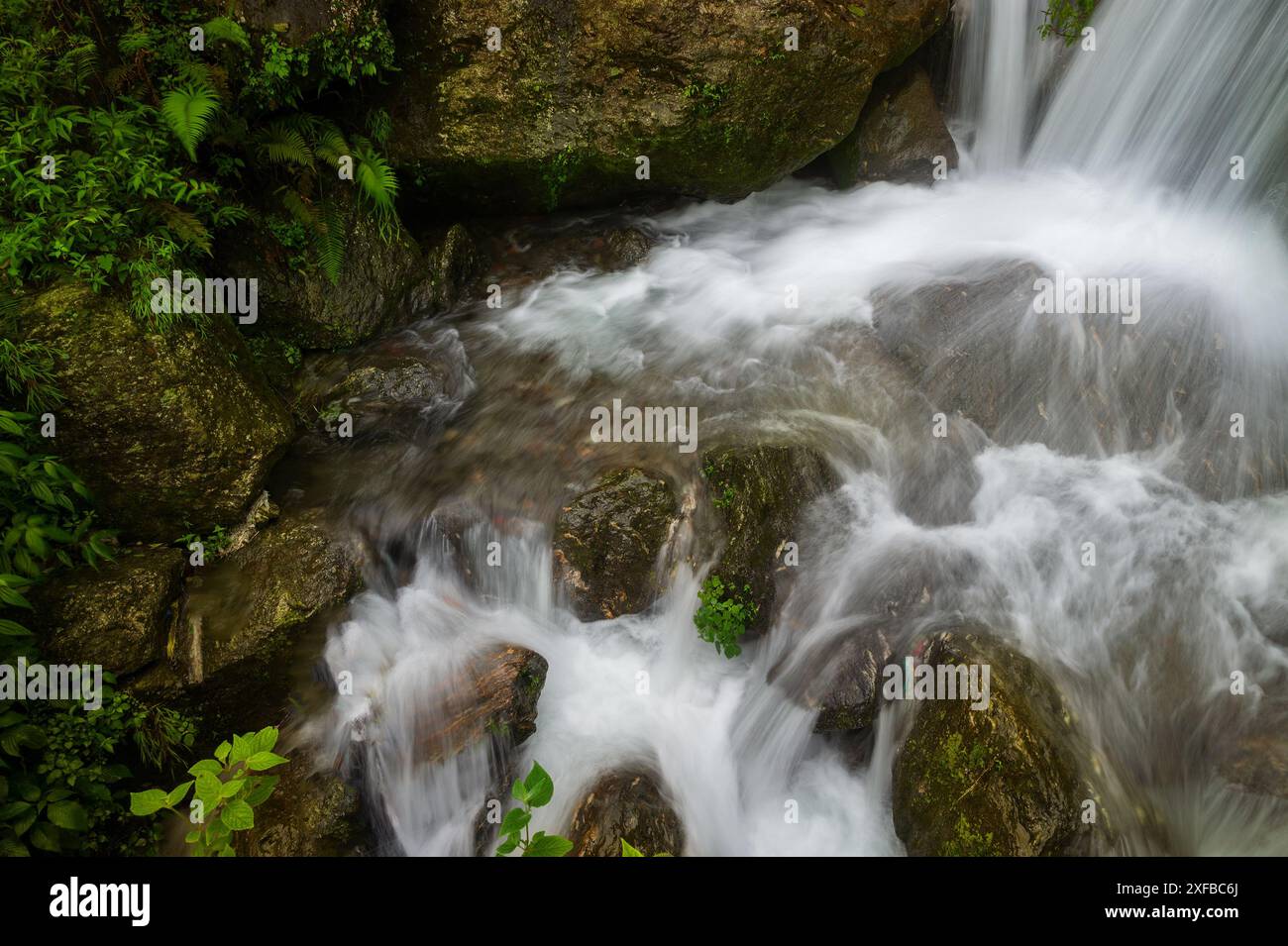 Belle cascade de Paglajhora sur Kurseong, montagnes himalayennes de Darjeeling, Bengale occidental, Inde. Origine de la rivière Mahananda coulant à travers Mahananda Banque D'Images