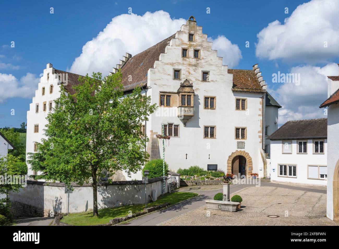 Château des champs de fleurs à Hegau, Tengen, district de Constance, Bade-Wuerttemberg, Allemagne Banque D'Images