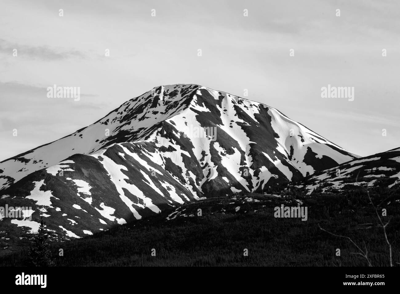 Zone panoramique pittoresque dans la nature sauvage du territoire du Yukon, Canada pendant la période estivale avec forêt boréale et montagnes enneigées. North Canol Road Banque D'Images