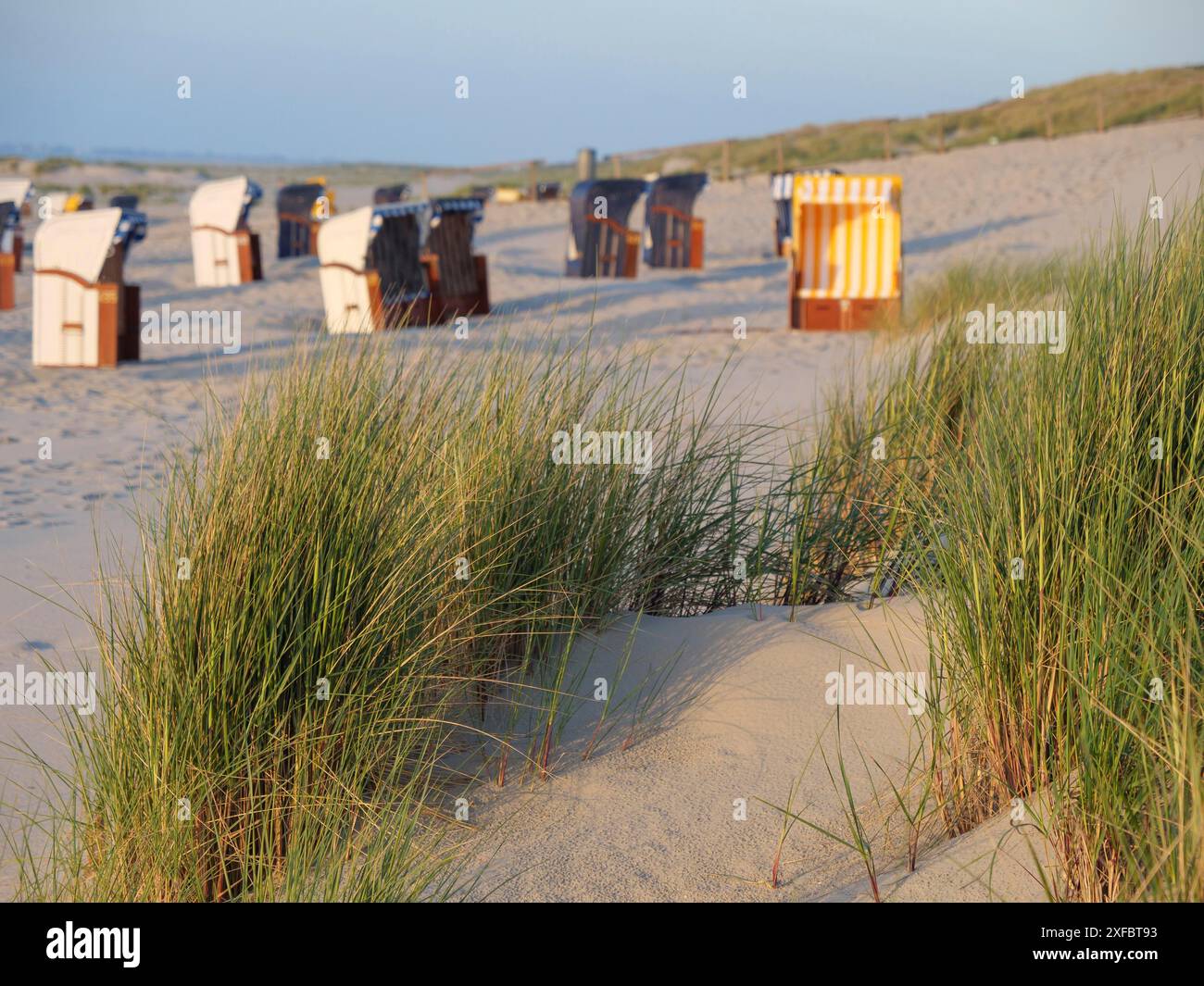 Plage avec chaises longues et dunes, entouré d'herbe, atmosphère calme à la lumière du jour, juist, mer du nord, allemagne Banque D'Images