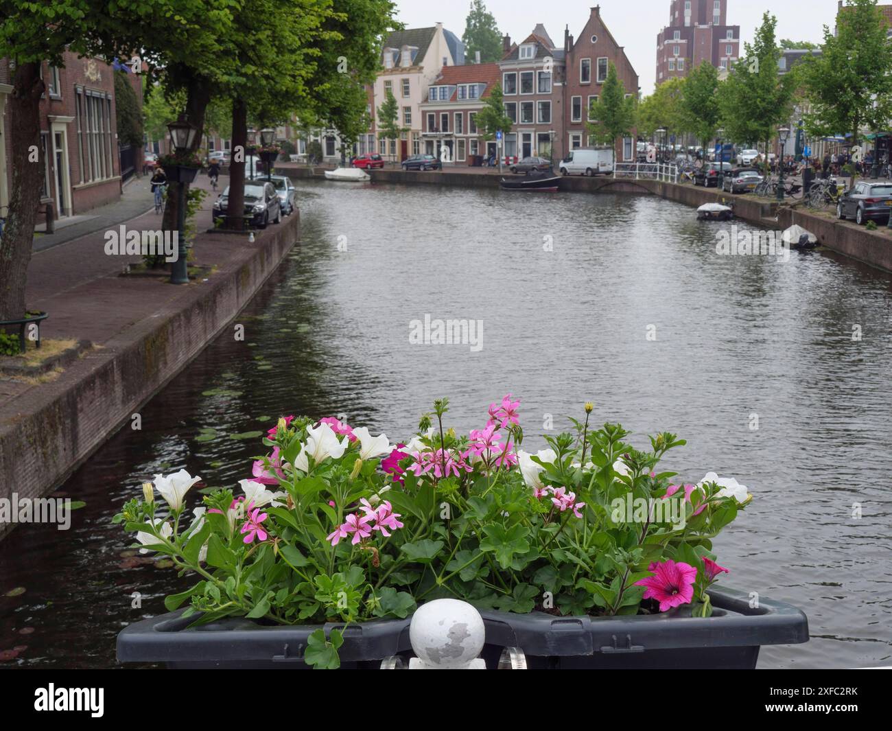 Boîte à fleurs sur un pont sur un canal de la ville avec des bateaux et des maisons en arrière-plan, Leyde, pays-Bas Banque D'Images