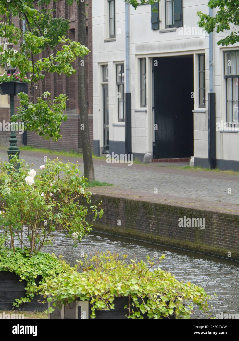 Un canal de ville calme avec des plantes verdoyantes et des maisons historiques dans un cadre urbain, Leyde, pays-Bas Banque D'Images