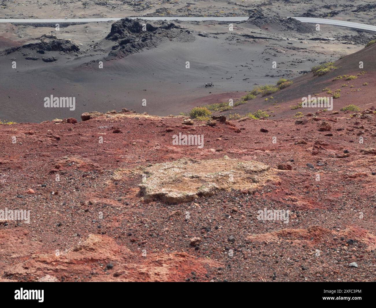 Roche volcanique de couleur rougeâtre dans une vallée aride avec des plantes dispersées dans une zone volcanique, arrecife, lanzarote, espagne Banque D'Images