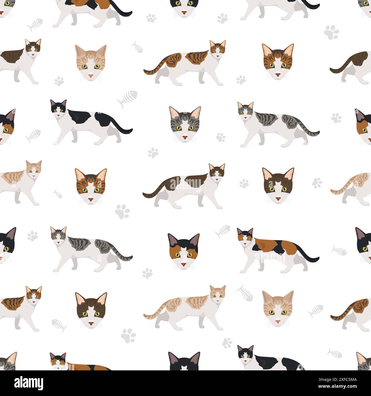 Motif sans couture Aegean Cat. Toutes les couleurs de manteau sont définies. Infographie des caractéristiques de toutes les races de chats. Illustration vectorielle Illustration de Vecteur