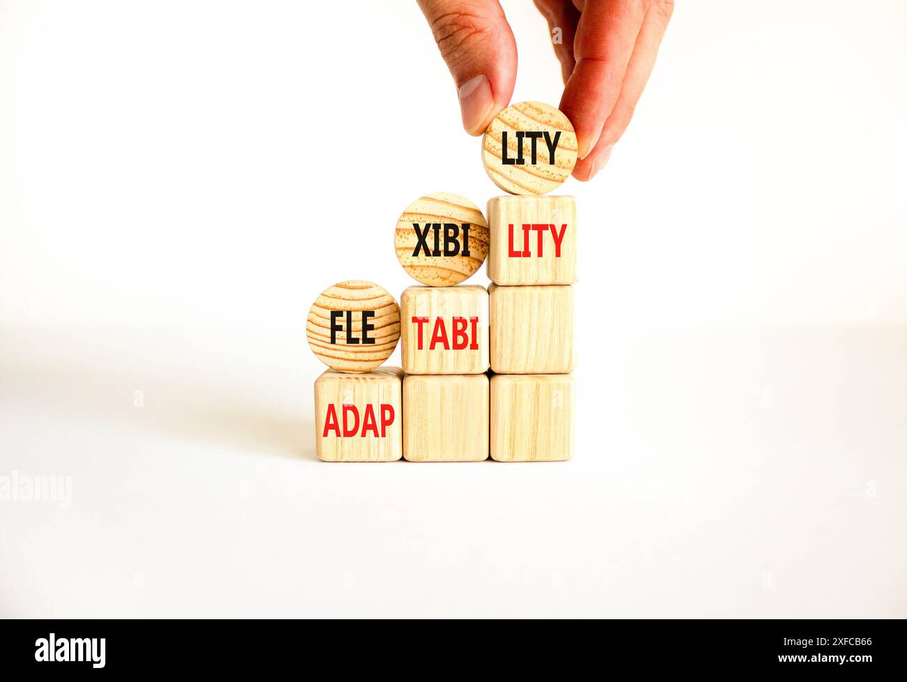 Symbole de flexibilité ou d'adaptabilité. Concept mot flexibilité adaptabilité sur de beaux cercles en bois. Beau fond blanc. Flexibilité de l'entreprise Banque D'Images
