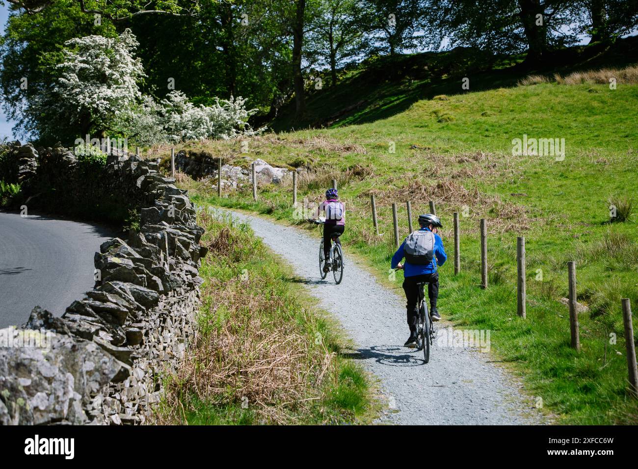 Cyclisme près de Hawkshead dans le Lake District, Cumbria Banque D'Images