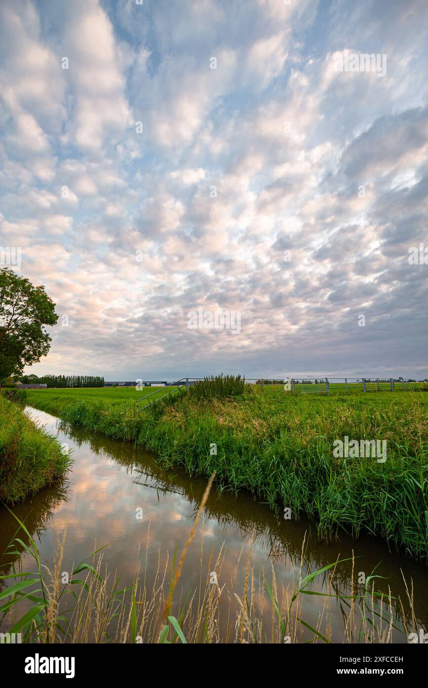 Beau ciel avec des nuages d'altocumulus pointillés sur le paysage néerlandais vert et aqueux Banque D'Images