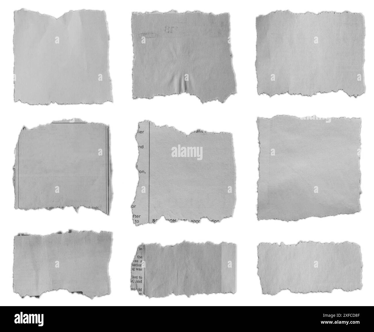 Neuf morceaux de papier déchiré sur fond blanc Banque D'Images