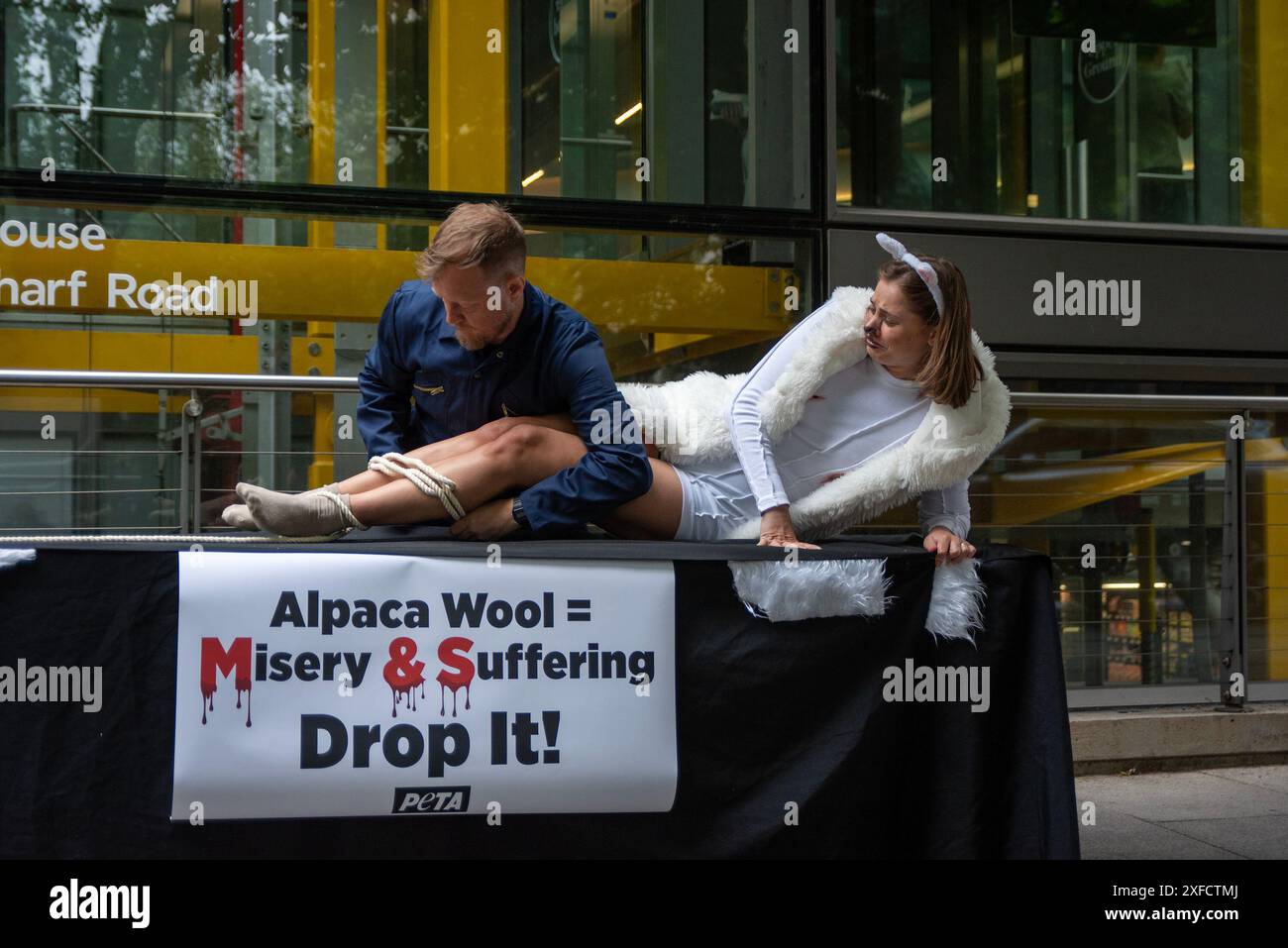 Londres, Royaume-Uni. 2 juillet 2024. Un activiste prétendant être un fermier attache l'alpaga sur une table avant de le tondre lors d'une manifestation devant le siège social de Mark & Spencer à Londres. PETA (People for the Ethical Treatment of Animals) organisait une action en dehors de la réunion annuelle de Mark & Spencer. Les activistes appellent le M&S à lâcher de la laine d’alpaga parce que le soi-disant Responsible Alpaga Standard ne fait rien pour empêcher la souffrance ou les abus des animaux. (Crédit image : © Krisztian Elek/SOPA images via ZUMA Press Wire) USAGE ÉDITORIAL SEULEMENT! Non destiné à UN USAGE commercial ! Banque D'Images