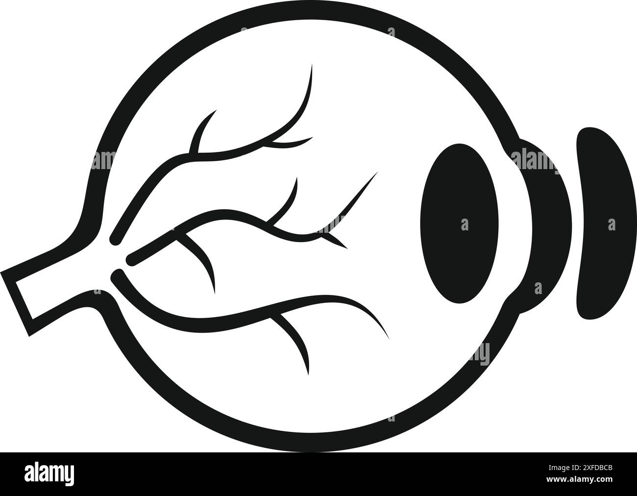 Simple icône noire et blanche d'un globe oculaire humain montrant les vaisseaux sanguins, le nerf optique et la pupille Illustration de Vecteur