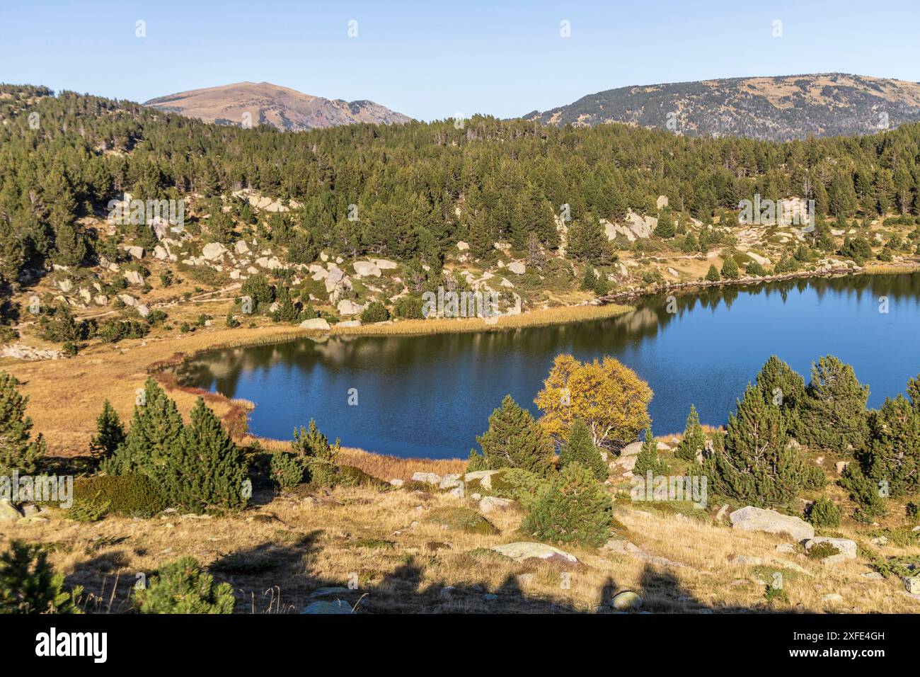 France, Pyrénées-Orientales, Haut-Conflent, région du Capcir, parc naturel régional des Pyrénées catalanes, randonnées dans les lacs des Bouillouses, le Carlit Banque D'Images