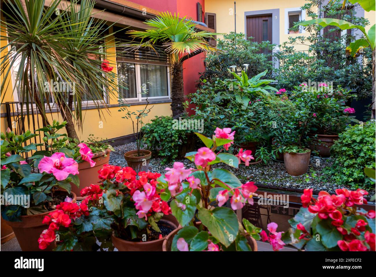 Jardin de la Cour Banque D'Images