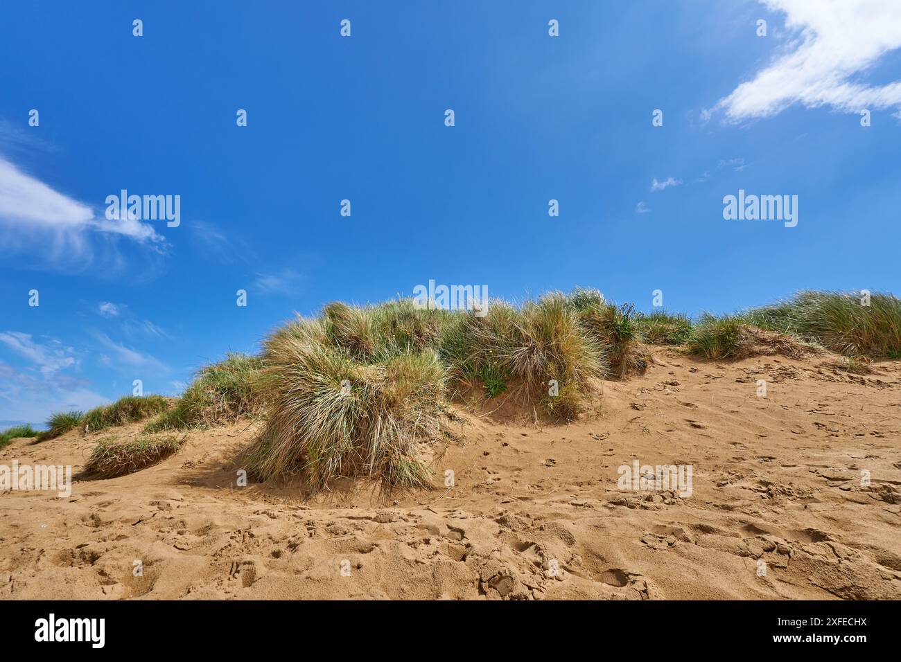 Dune de plage avec de l'herbe de marram à Old Hunstanton, Norfolk, Royaume-Uni Banque D'Images