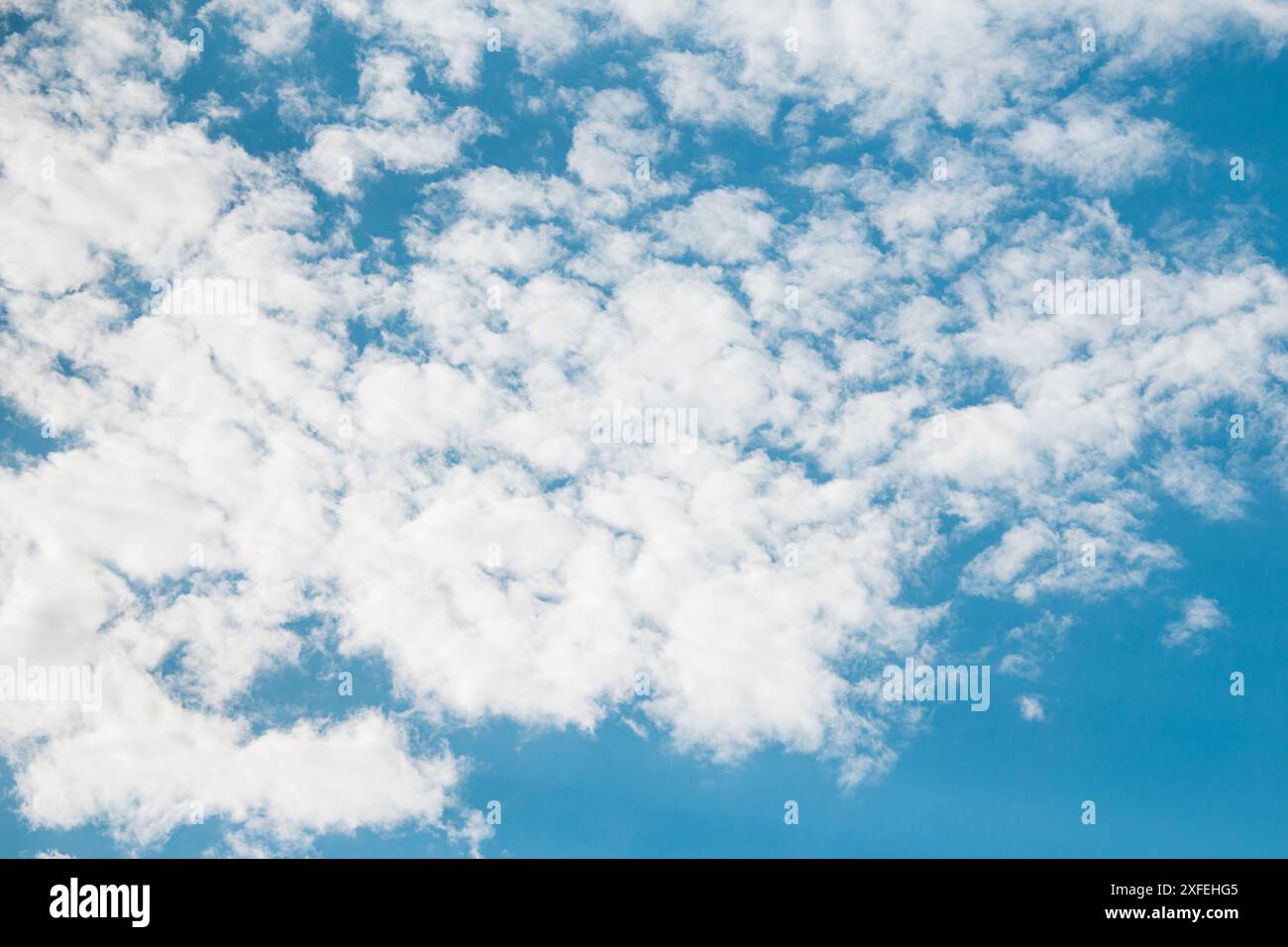Nuages moelleux sur le ciel bleu pendant la journée. Copier l'espace Banque D'Images
